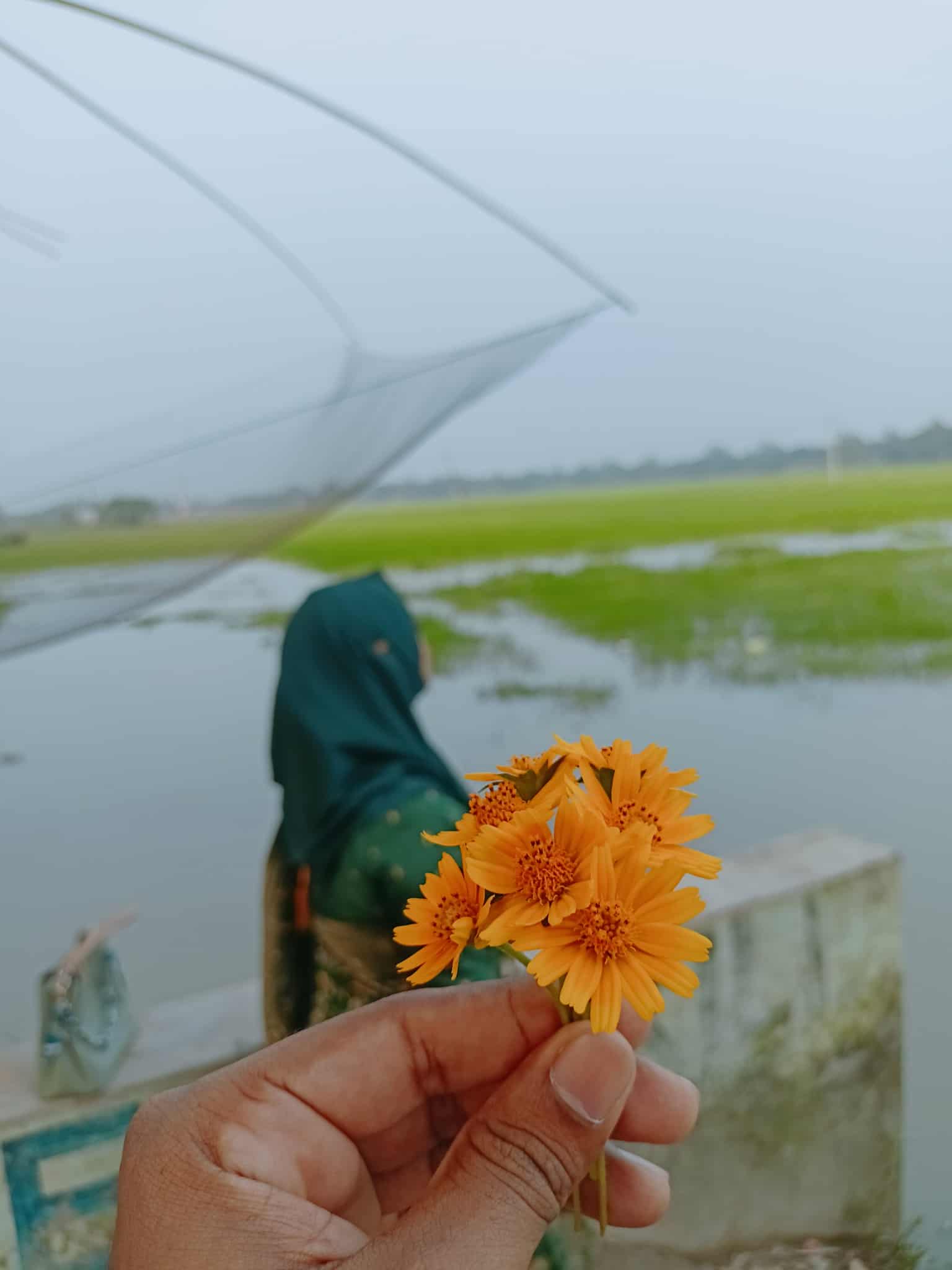 কনক লতা